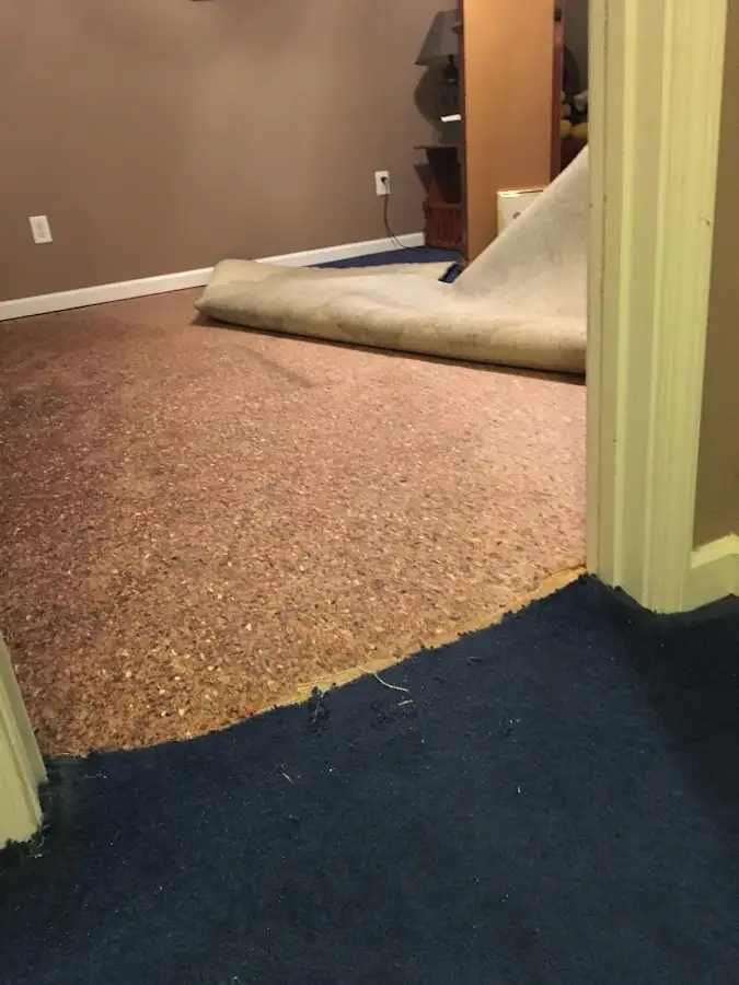 Carpet pad removal revealing water damage during Water Mitigation Services in Round Lake Park