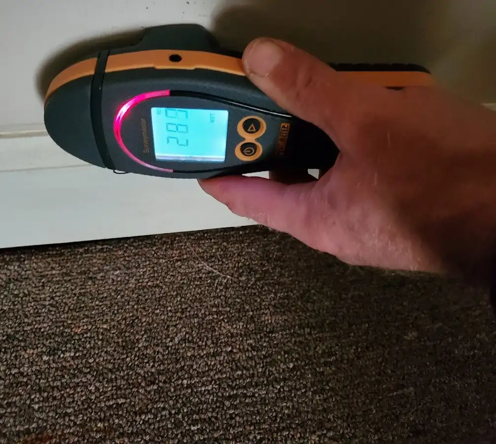 Moisture detection at baseboard during Sewage Cleanup & Sanitation in Round Lake Park