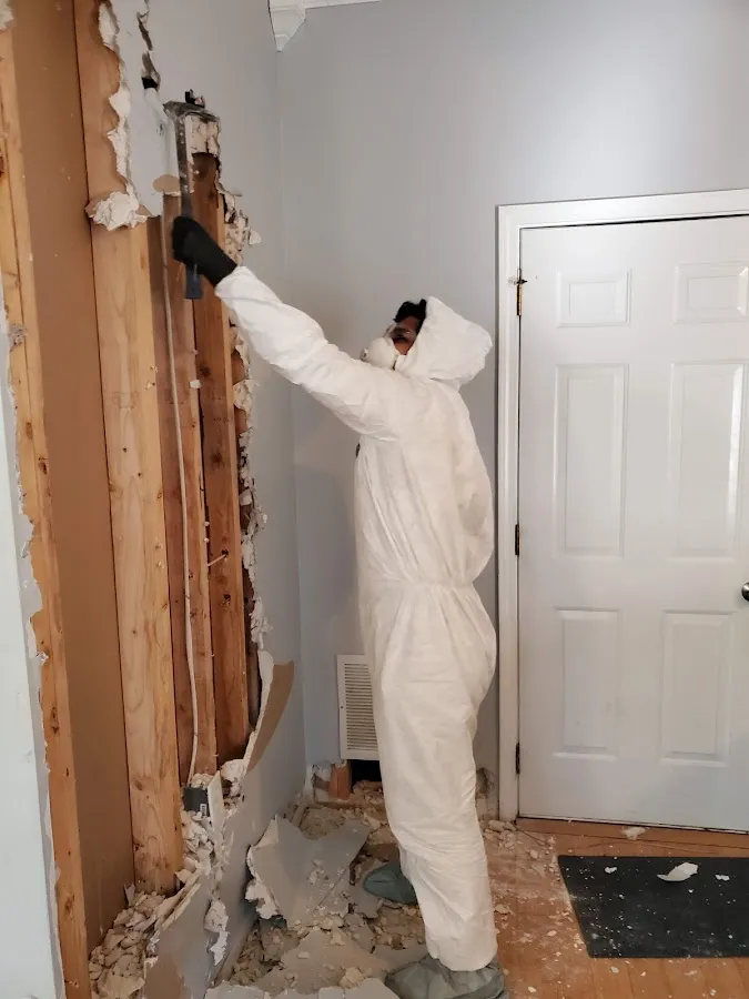 Emergency Water Damage Services in Round Lake Park, IL